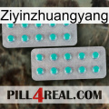 Ziyinzhuangyang 29